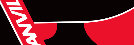 Anvil Solutions: IT Services Fiji